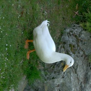 Meet your Posher, Nora